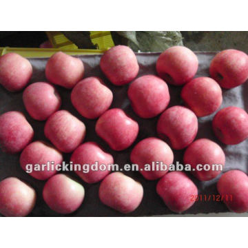 Yantai Fuji Apples(blush layer 100-113-125 20kg)